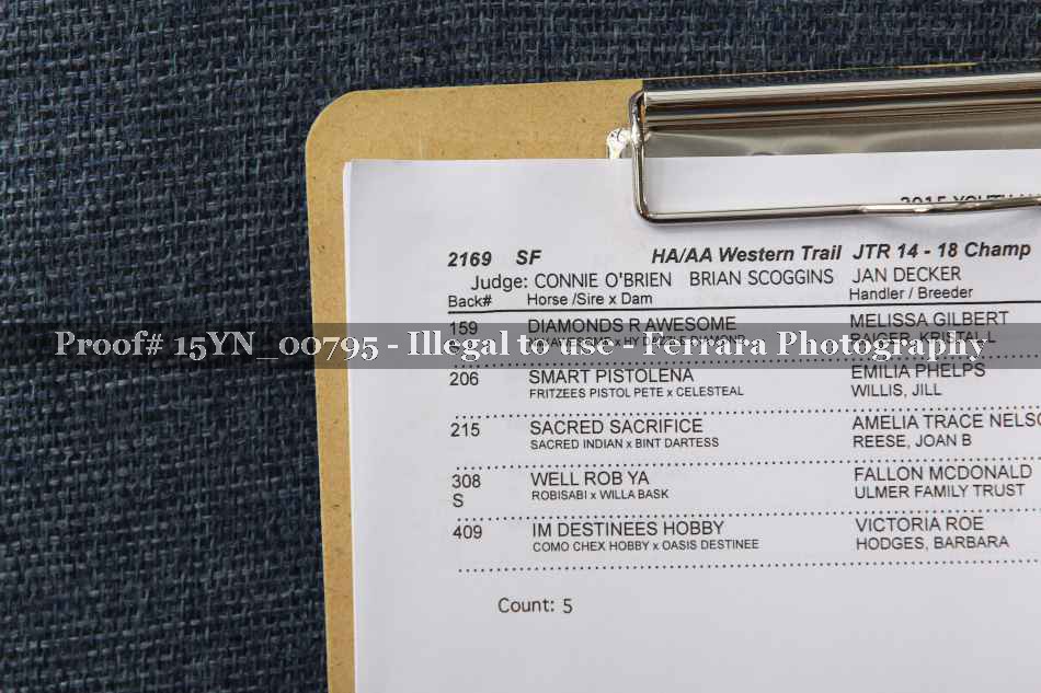 Proof 15YN_00795