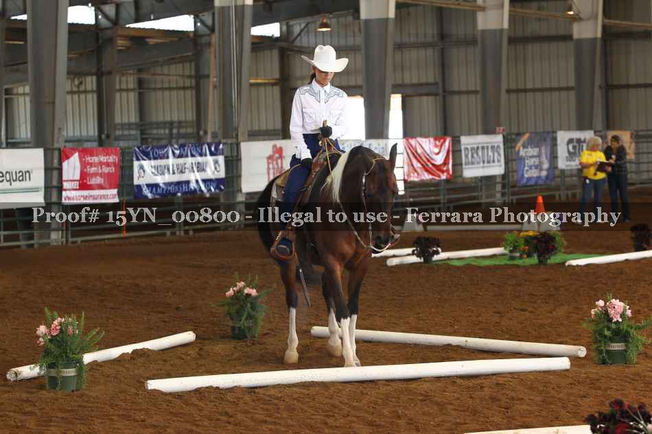 Proof 15YN_00800