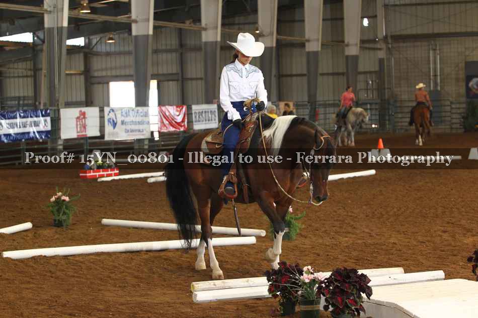 Proof 15YN_00801