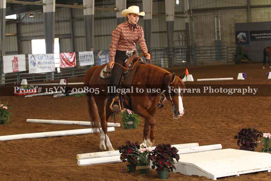 Proof 15YN_00805