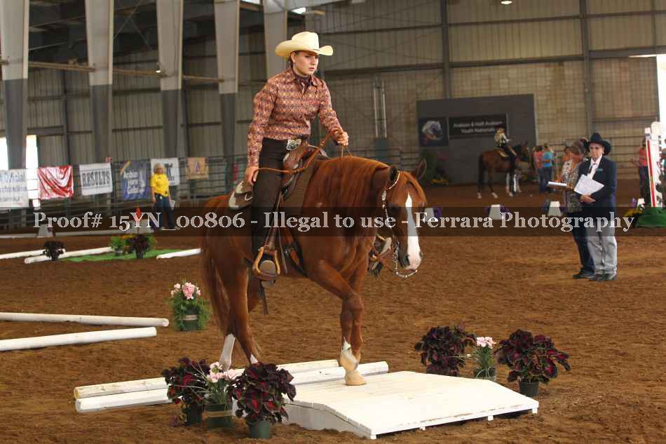 Proof 15YN_00806