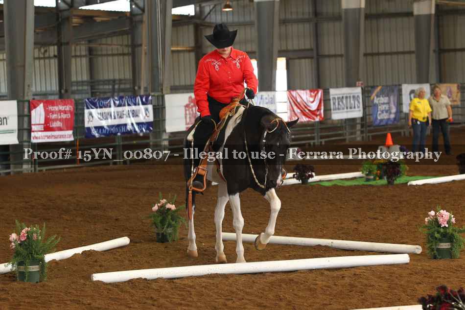 Proof 15YN_00807