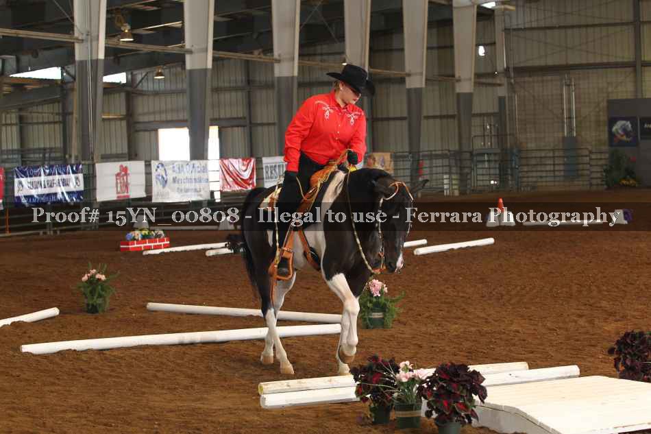 Proof 15YN_00808