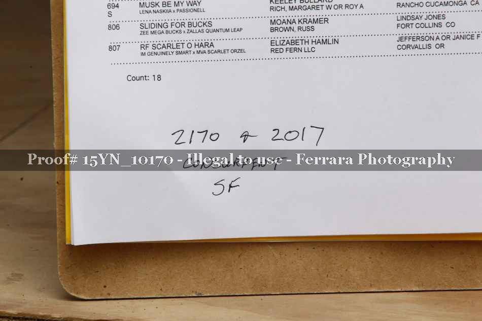 Proof 15YN_10170