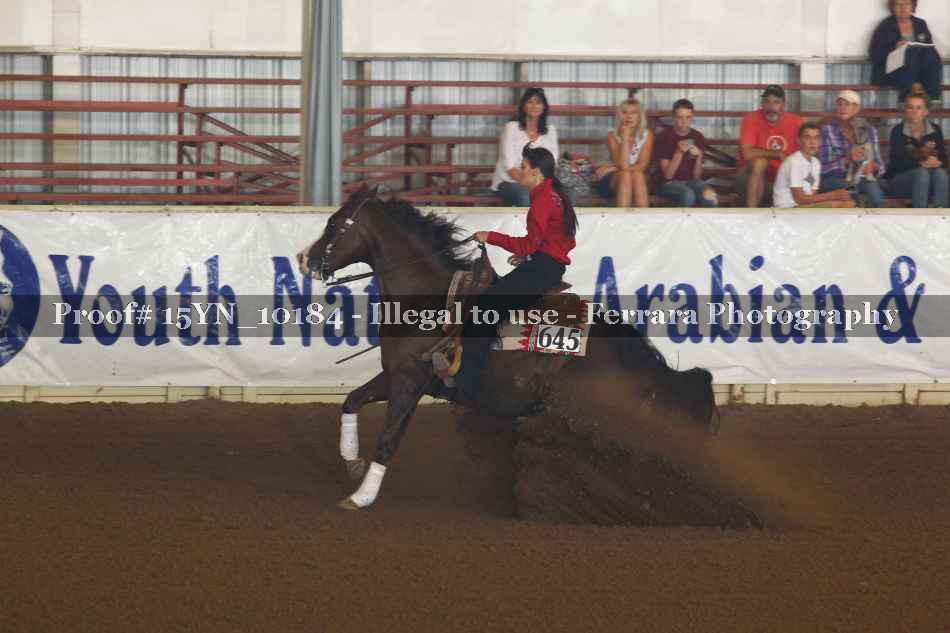 Proof 15YN_10184
