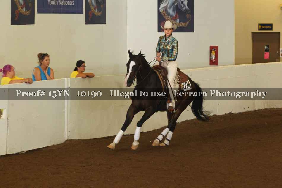 Proof 15YN_10190