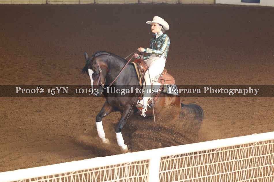 Proof 15YN_10193