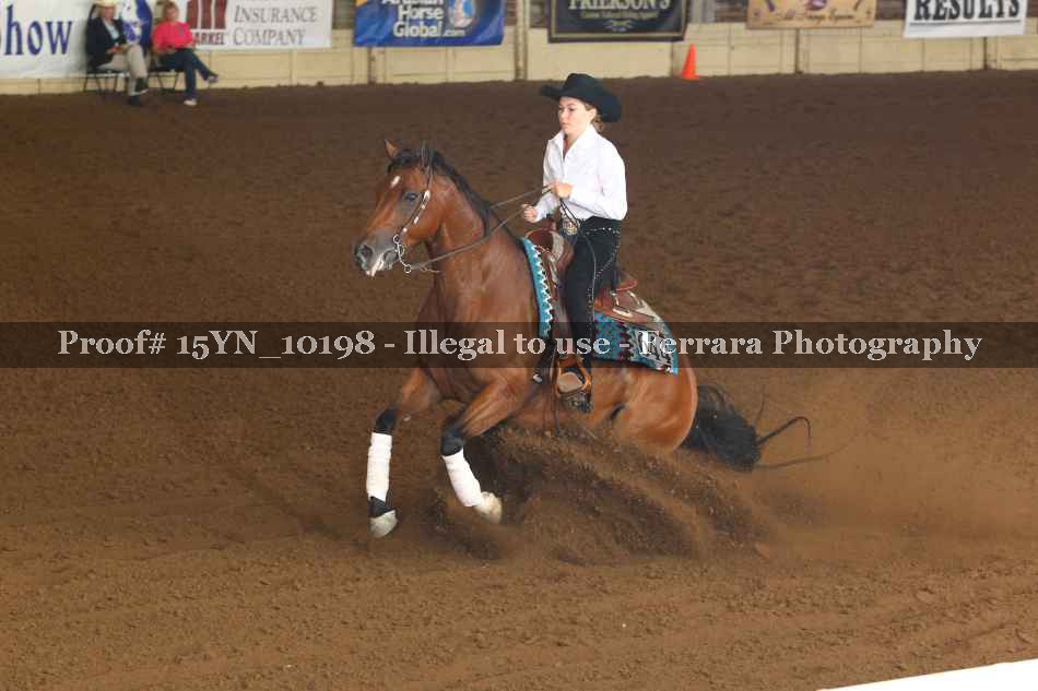 Proof 15YN_10198