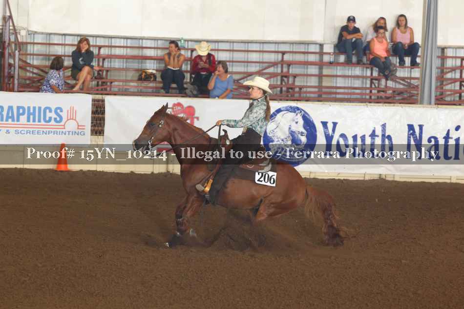 Proof 15YN_10214