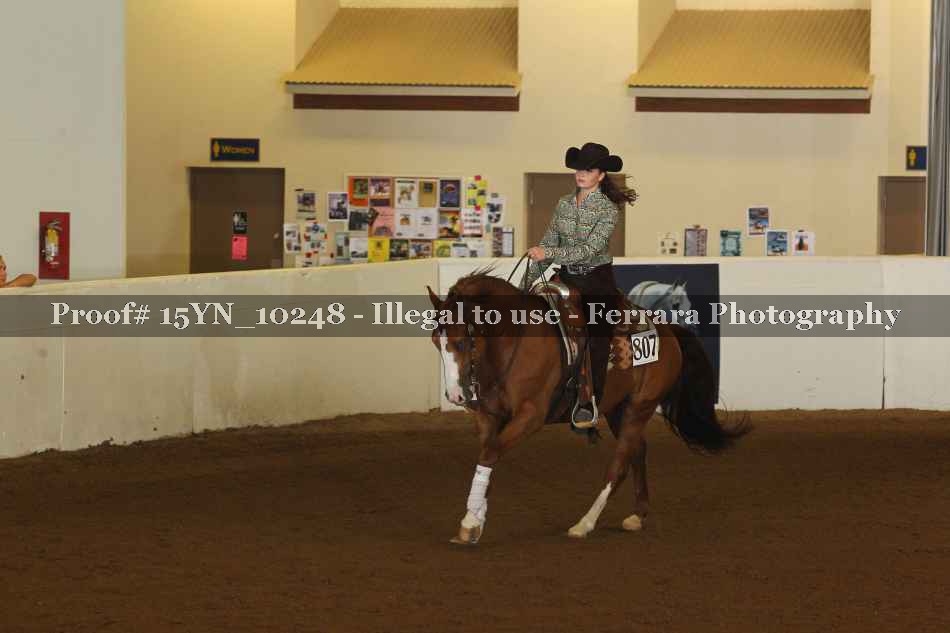 Proof 15YN_10248