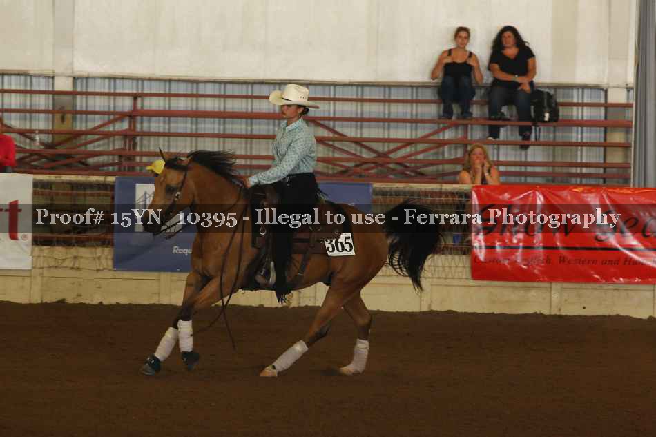 Proof 15YN_10395