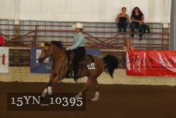 15YN_10395 proof