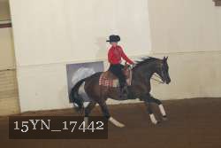 15YN_17442 proof