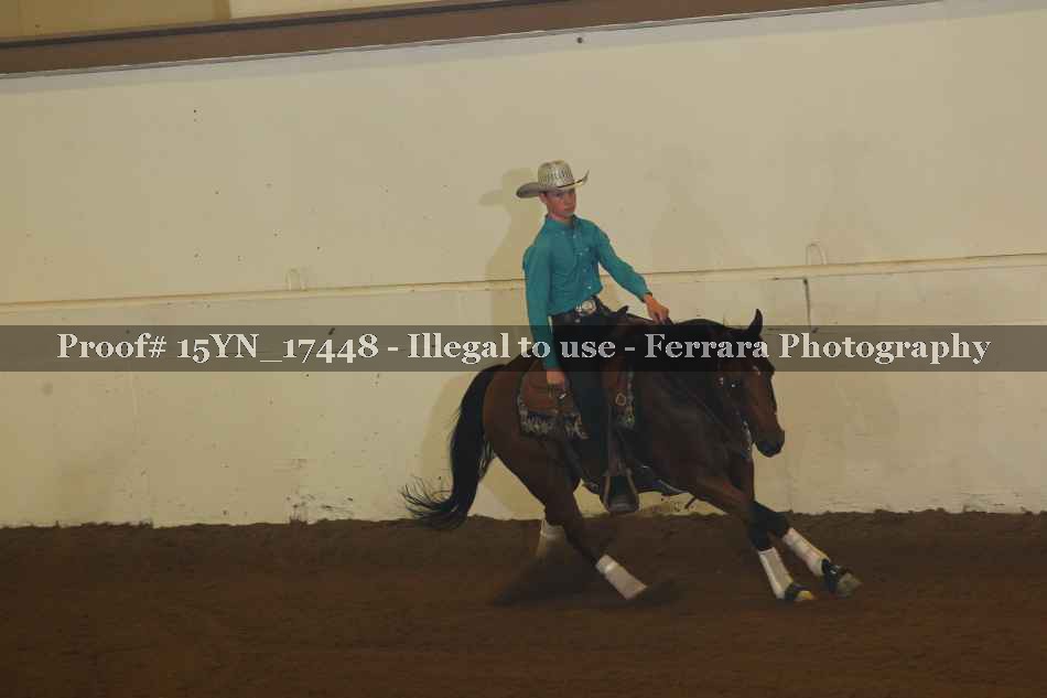 Proof 15YN_17448