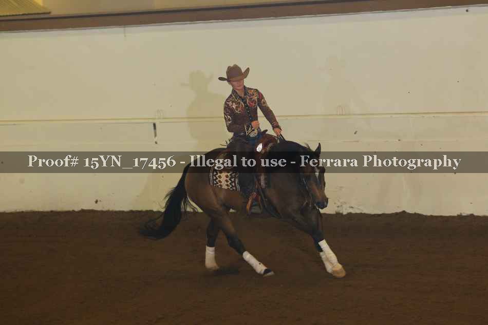 Proof 15YN_17456