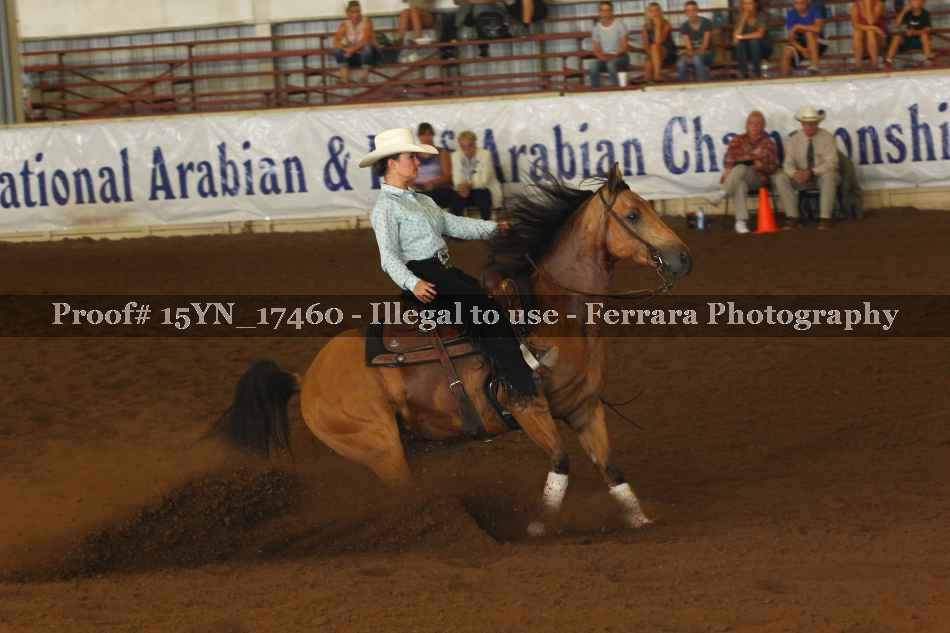 Proof 15YN_17460