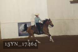 15YN_17464 proof