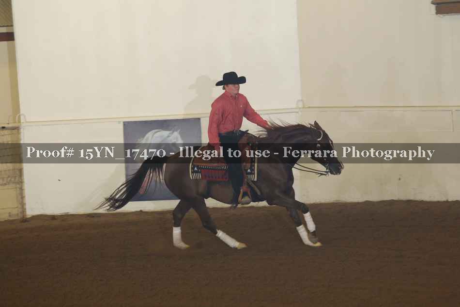 Proof 15YN_17470