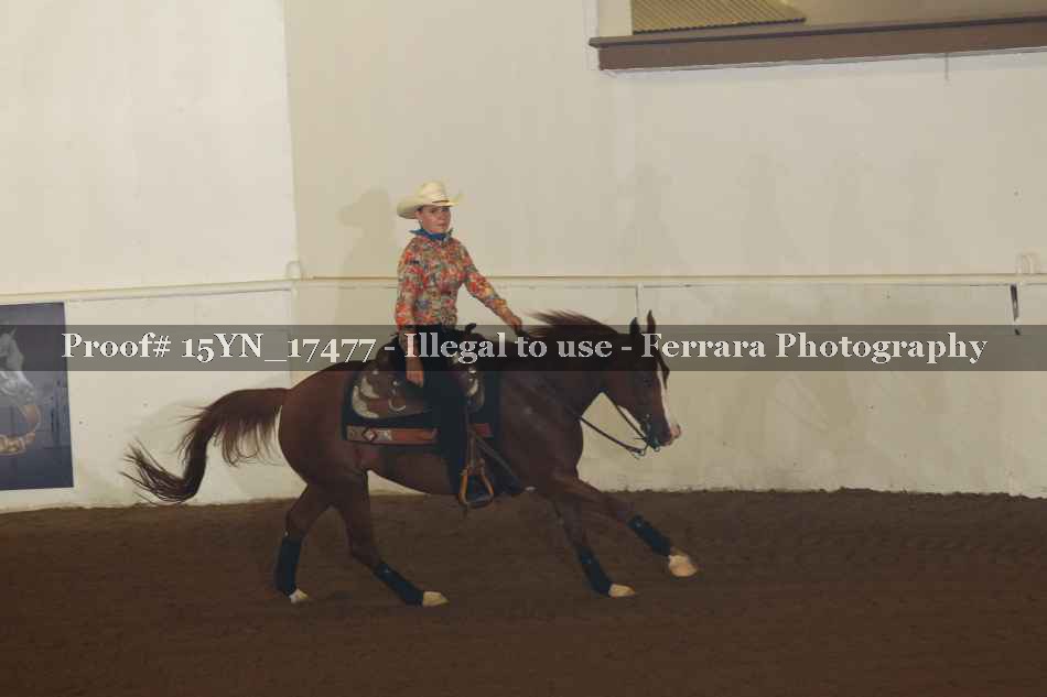 Proof 15YN_17477