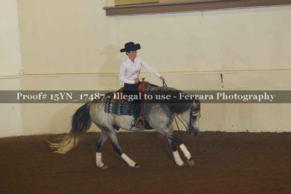 Proof 15YN_17487
