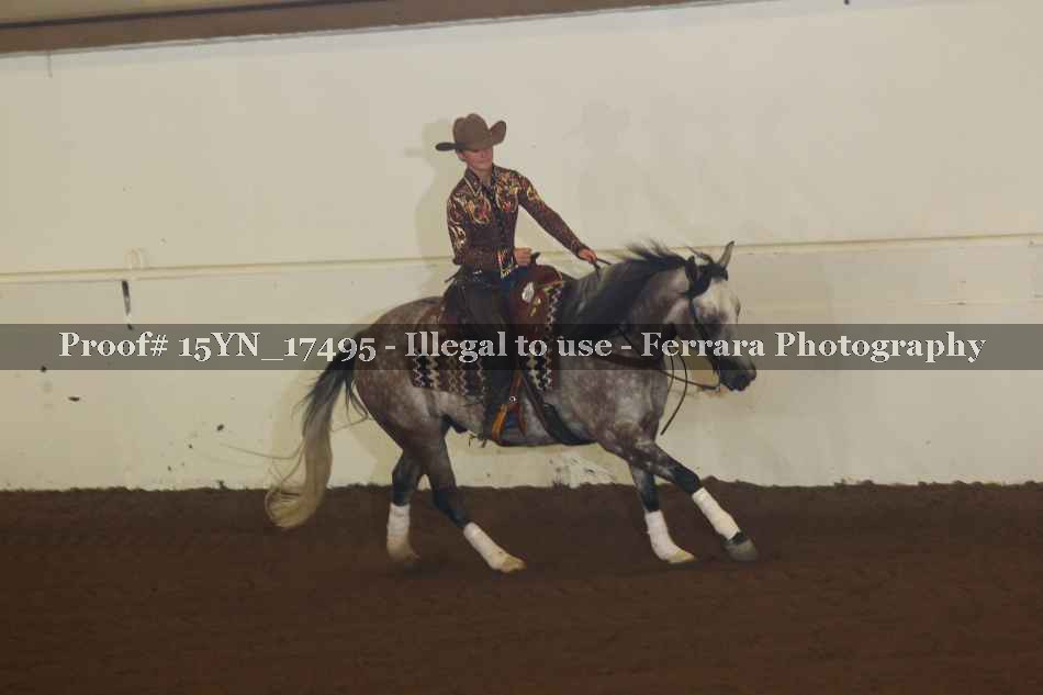 Proof 15YN_17495