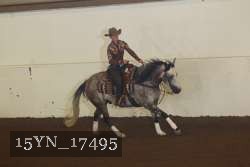 15YN_17495 proof