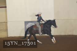 15YN_17501 proof