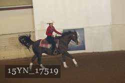 15YN_17519 proof
