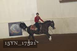 15YN_17521 proof