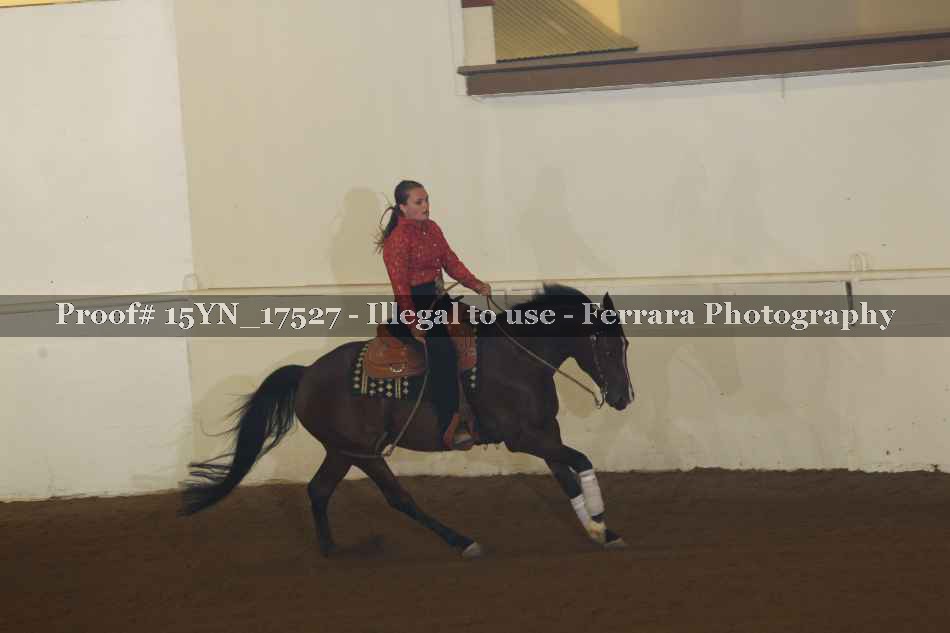 Proof 15YN_17527