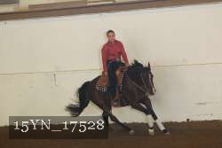 15YN_17528 proof
