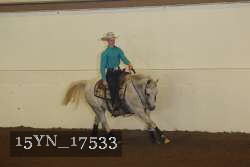 15YN_17533 proof