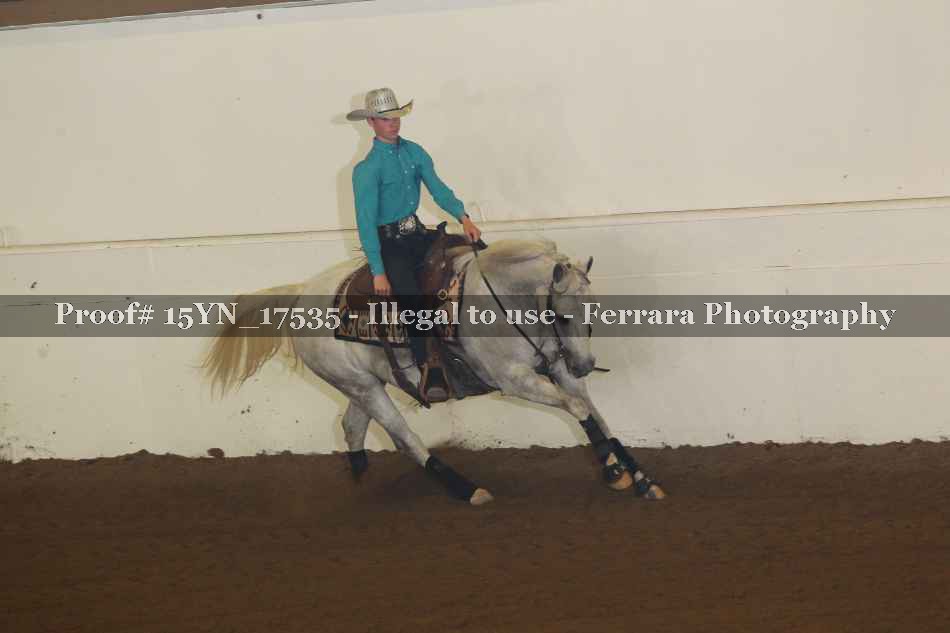 Proof 15YN_17535