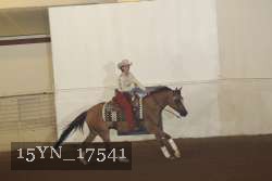 15YN_17541 proof