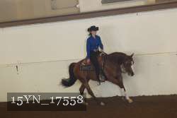 15YN_17558 proof