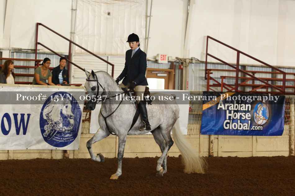 Proof 15YN_06527