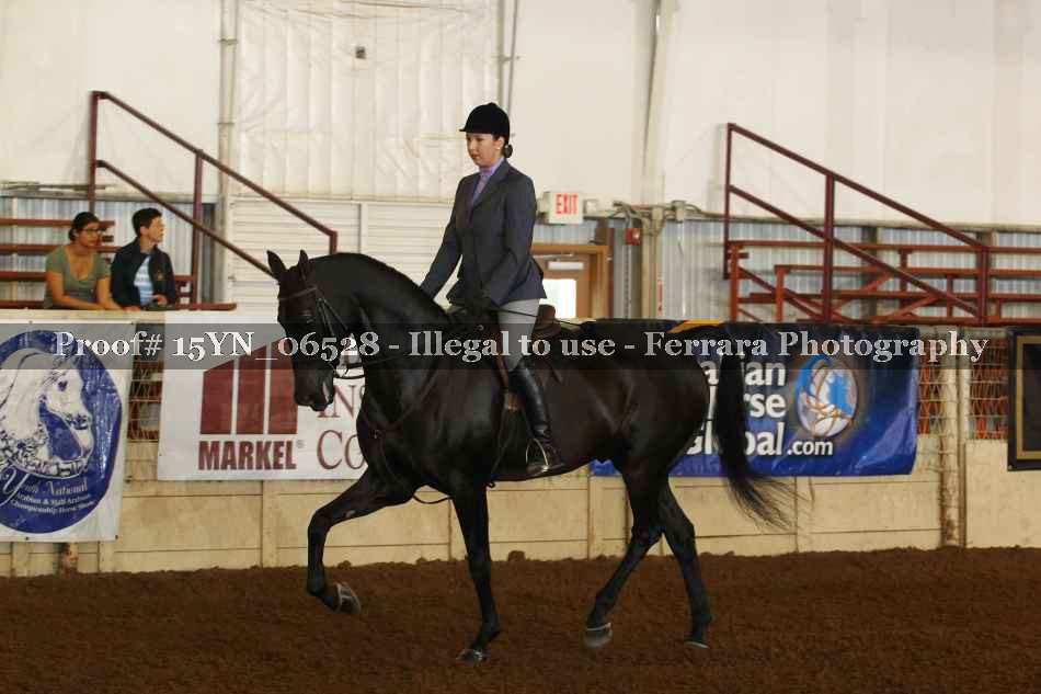 Proof 15YN_06528