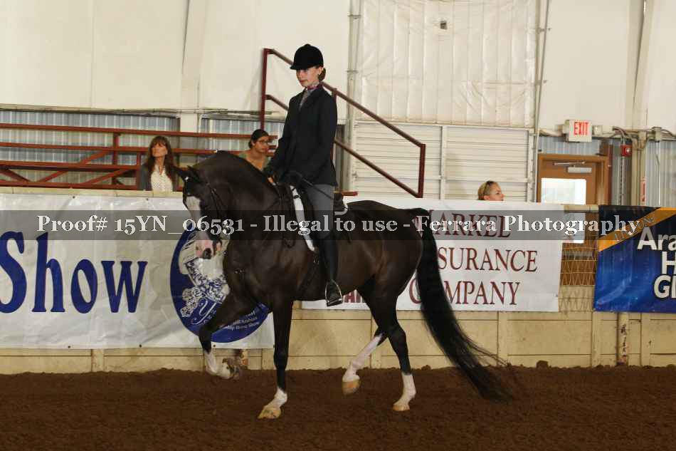 Proof 15YN_06531