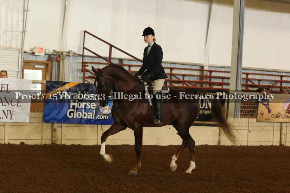 Proof 15YN_06533