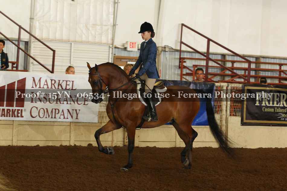 Proof 15YN_06534