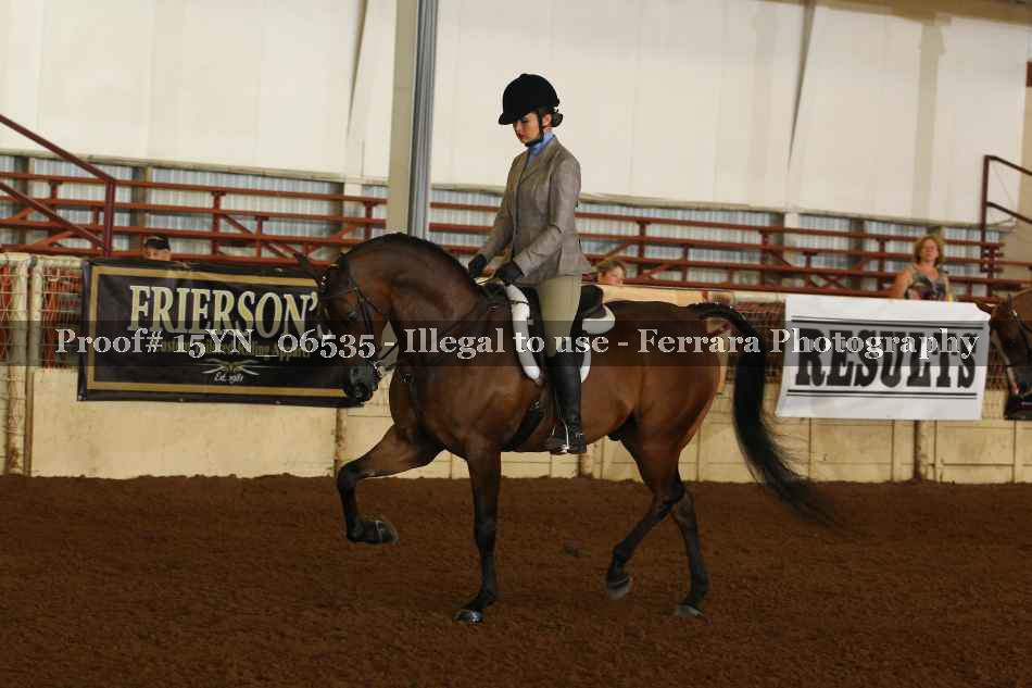 Proof 15YN_06535