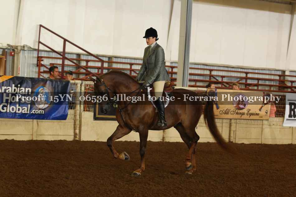 Proof 15YN_06536