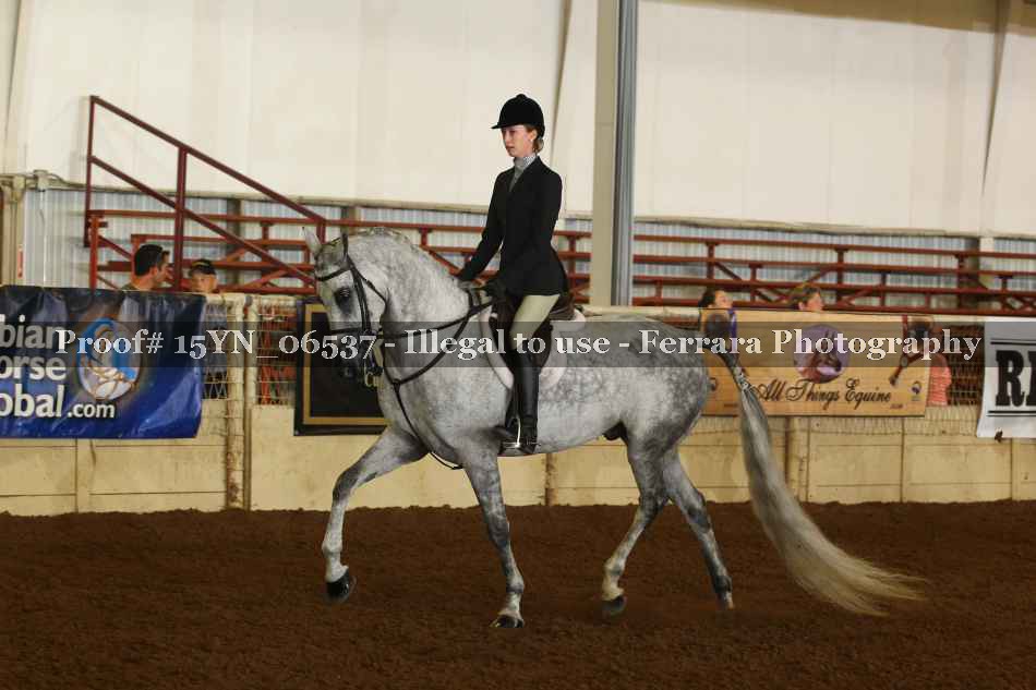 Proof 15YN_06537