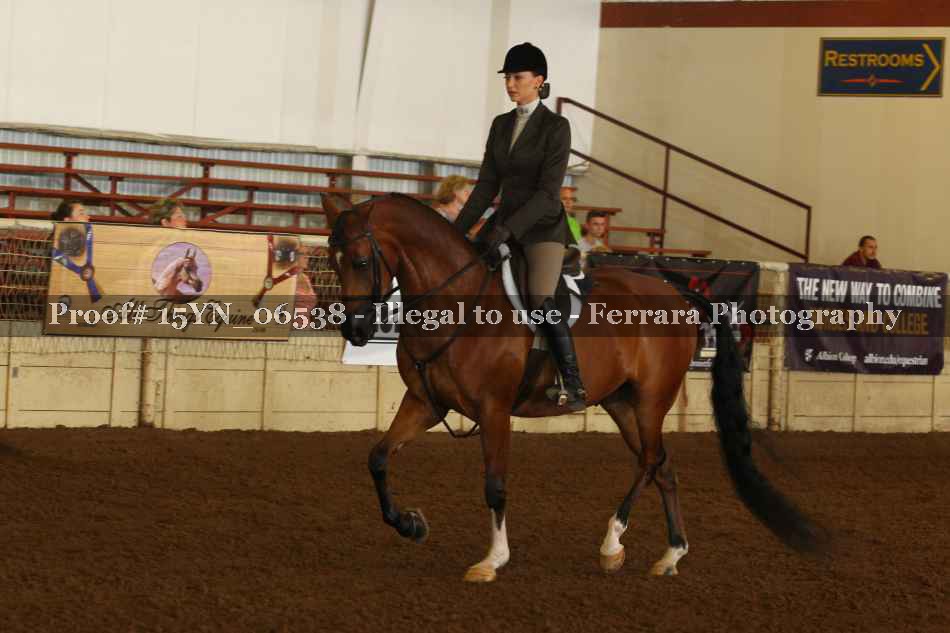 Proof 15YN_06538