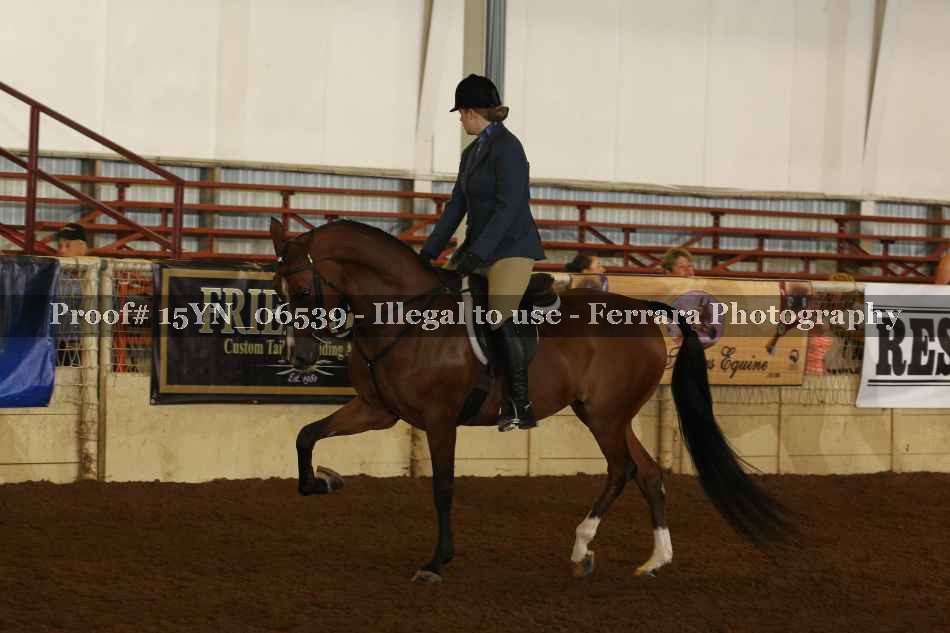 Proof 15YN_06539