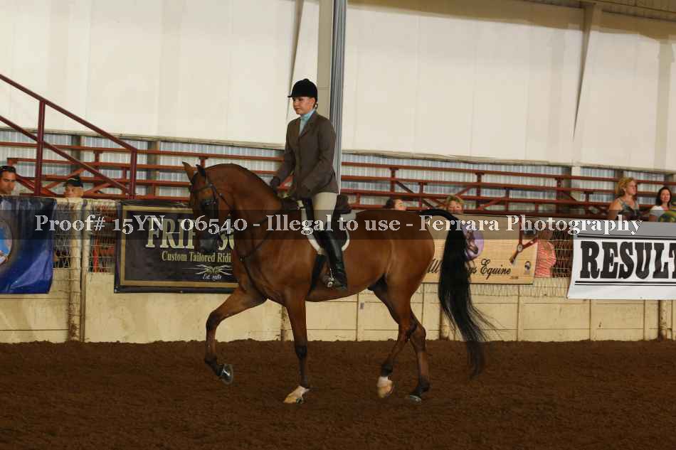 Proof 15YN_06540