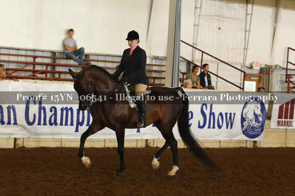 Proof 15YN_06541