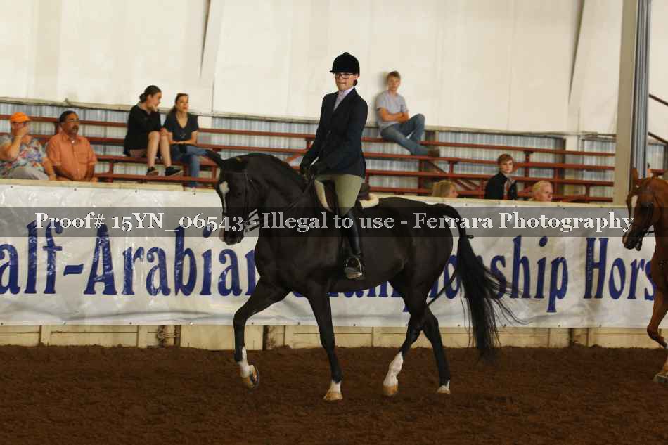 Proof 15YN_06543