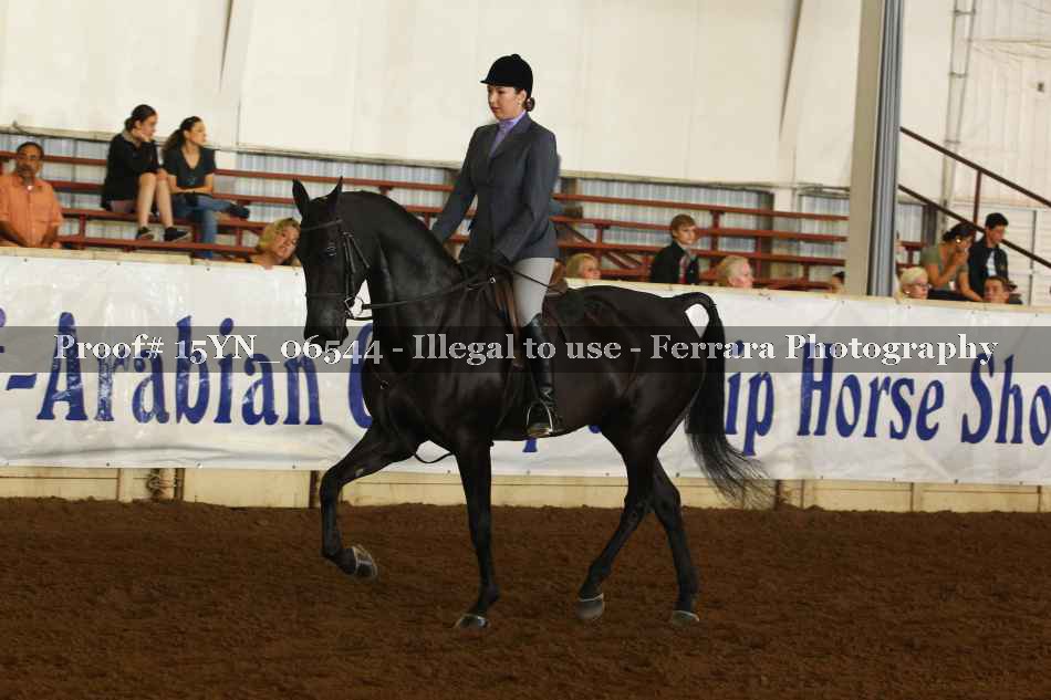 Proof 15YN_06544