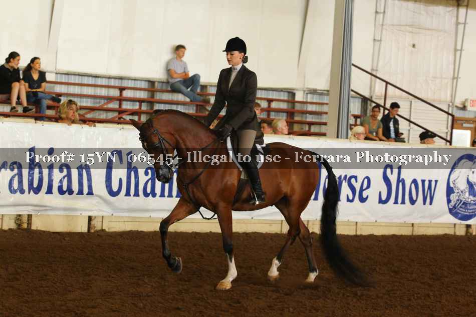 Proof 15YN_06545